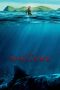 The Shallows (2016) The Shallows (2016)