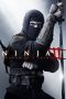 Ninja: Shadow of a Tear (2013) Ninja: Shadow of a Tear (2013)