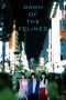 Dawn of the Felines (2017) Dawn of the Felines (2017)