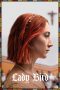 Lady Bird (2017) Lady Bird (2017)