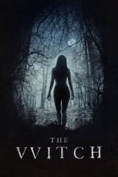 The Witch (The VVitch: A New-England Folktale) (2015) The Witch (The VVitch: A New-England Folktale) (2015)