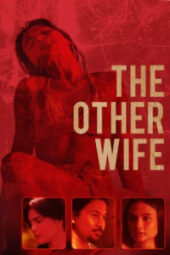 The Other Wife (2021) The Other Wife (2021)