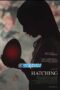 Hatching (2022) Sub Hatching (2022) Sub