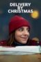 Delivery by Christmas (2022) Delivery by Christmas (2022)