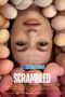 Scrambled (2023) Sub Scrambled (2023) Sub