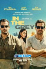 In the Grey (2026) Sub