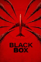 Black Box (2026)