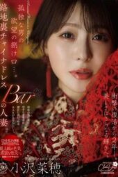 DLDSS-509 The outlet for a lonely man’s desires. The married woman at the back alley china dress bar. Two years after her shocking comeback, her beauty shines even brighter