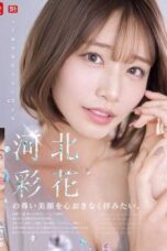 SNOS-275 I want to worship Kawakita Saika’s precious beautiful face to my heart’s conten